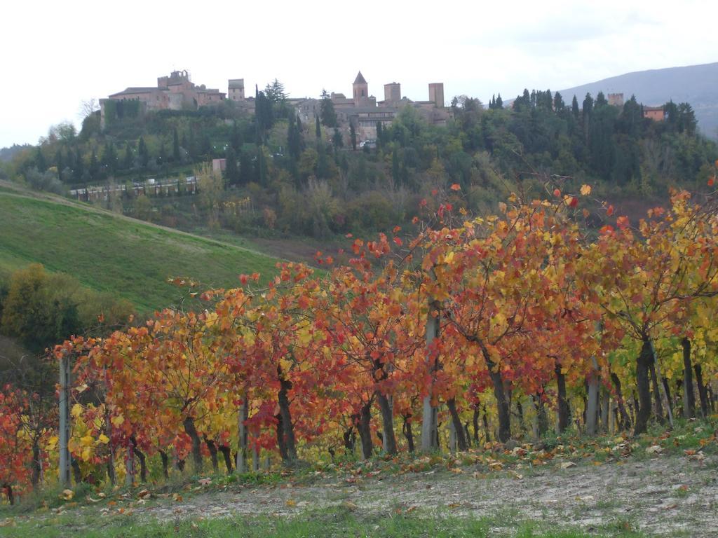 Agriturismo Il Torrione Certaldo Ngoại thất bức ảnh