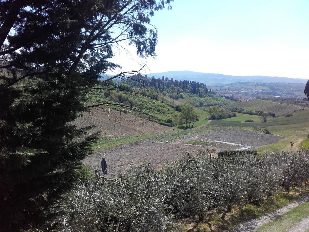 Agriturismo Il Torrione Certaldo Ngoại thất bức ảnh