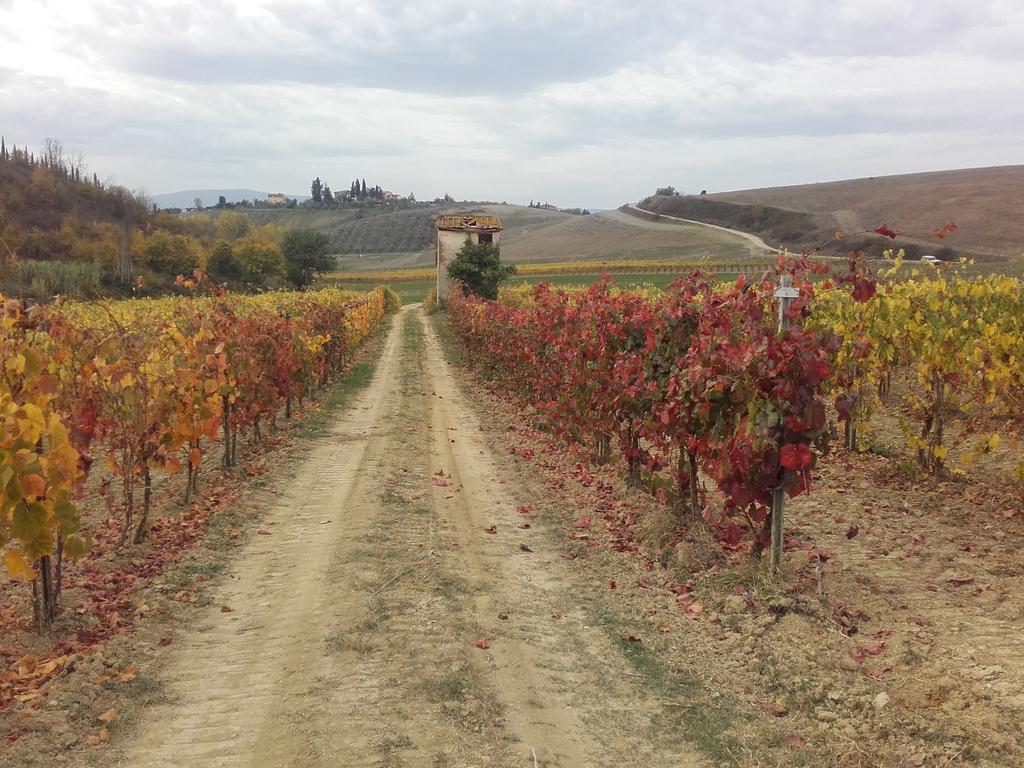 Agriturismo Il Torrione Certaldo Ngoại thất bức ảnh