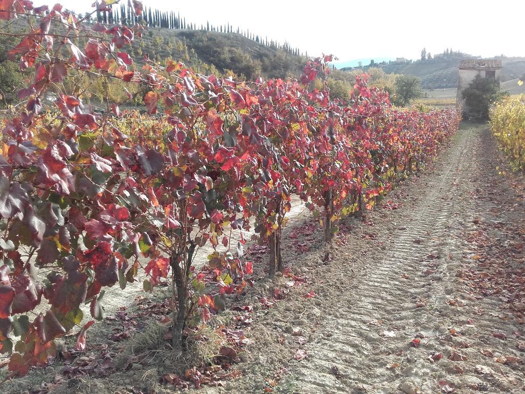 Agriturismo Il Torrione Certaldo Ngoại thất bức ảnh