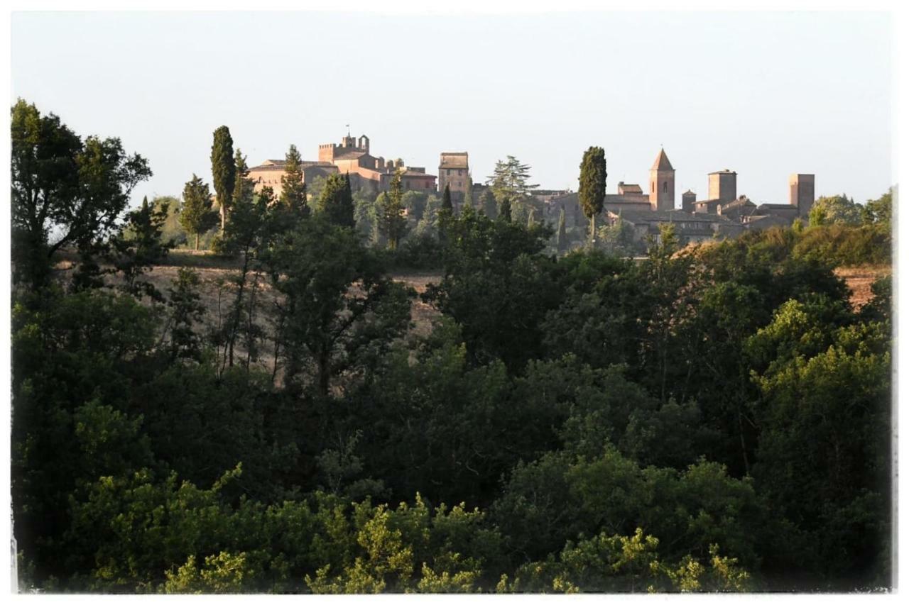 Agriturismo Il Torrione Certaldo Ngoại thất bức ảnh